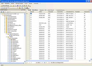 Einführungsschulung in das Datenbankmanagementsystem Microsoft SQL Server